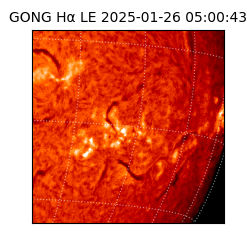 gong - 2025-01-26T05:00:43