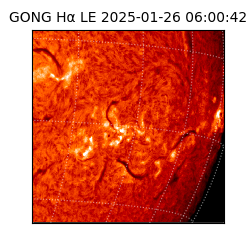 gong - 2025-01-26T06:00:42