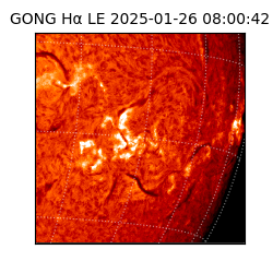 gong - 2025-01-26T08:00:42