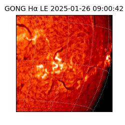 gong - 2025-01-26T09:00:42