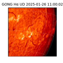 gong - 2025-01-26T11:00:02