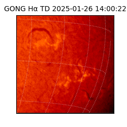 gong - 2025-01-26T14:00:22