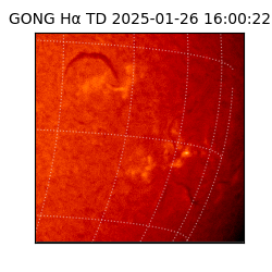 gong - 2025-01-26T16:00:22