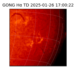gong - 2025-01-26T17:00:22