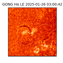 gong - 2025-01-26T03:00:42