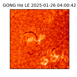 gong - 2025-01-26T04:00:42