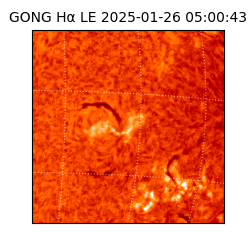 gong - 2025-01-26T05:00:43