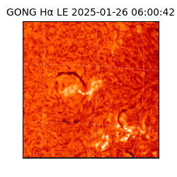 gong - 2025-01-26T06:00:42