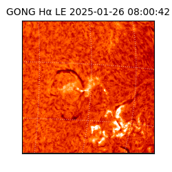 gong - 2025-01-26T08:00:42