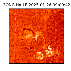 gong - 2025-01-26T09:00:42