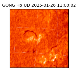 gong - 2025-01-26T11:00:02