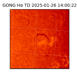 gong - 2025-01-26T14:00:22