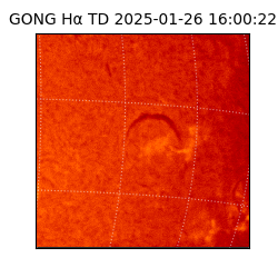 gong - 2025-01-26T16:00:22