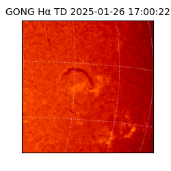 gong - 2025-01-26T17:00:22