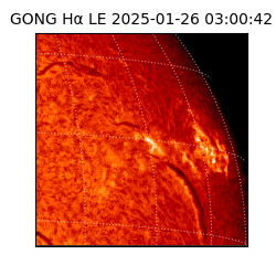 gong - 2025-01-26T03:00:42