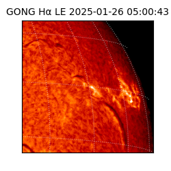 gong - 2025-01-26T05:00:43