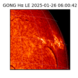 gong - 2025-01-26T06:00:42