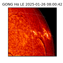 gong - 2025-01-26T08:00:42