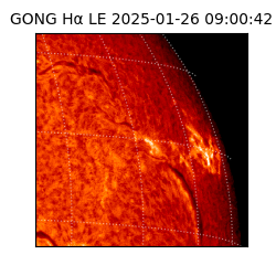 gong - 2025-01-26T09:00:42