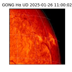 gong - 2025-01-26T11:00:02