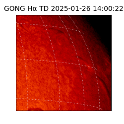 gong - 2025-01-26T14:00:22