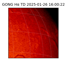 gong - 2025-01-26T16:00:22