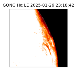 gong - 2025-01-26T23:18:42