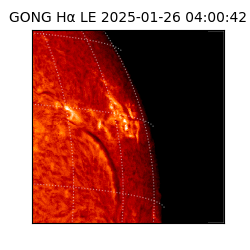 gong - 2025-01-26T04:00:42