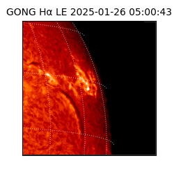 gong - 2025-01-26T05:00:43