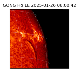 gong - 2025-01-26T06:00:42