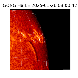 gong - 2025-01-26T08:00:42