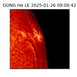 gong - 2025-01-26T09:00:42