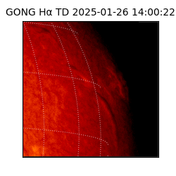 gong - 2025-01-26T14:00:22