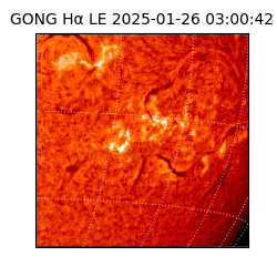 gong - 2025-01-26T03:00:42