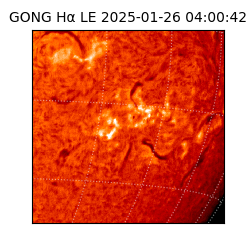 gong - 2025-01-26T04:00:42