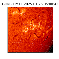 gong - 2025-01-26T05:00:43