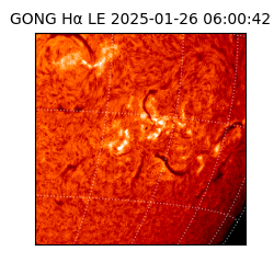 gong - 2025-01-26T06:00:42