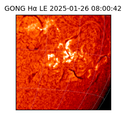 gong - 2025-01-26T08:00:42