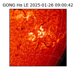 gong - 2025-01-26T09:00:42