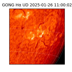 gong - 2025-01-26T11:00:02