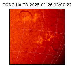 gong - 2025-01-26T13:00:22