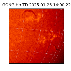gong - 2025-01-26T14:00:22