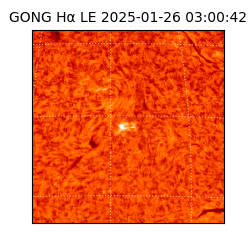 gong - 2025-01-26T03:00:42