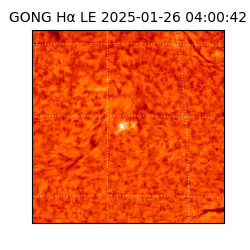 gong - 2025-01-26T04:00:42