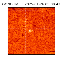 gong - 2025-01-26T05:00:43