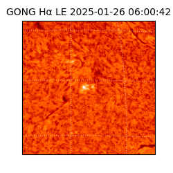 gong - 2025-01-26T06:00:42