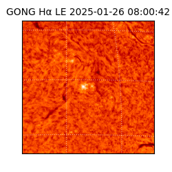 gong - 2025-01-26T08:00:42