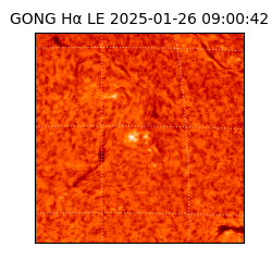 gong - 2025-01-26T09:00:42