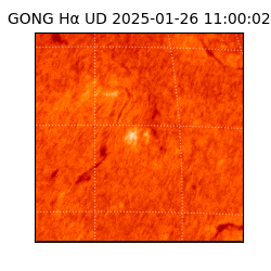 gong - 2025-01-26T11:00:02