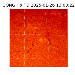 gong - 2025-01-26T13:00:22